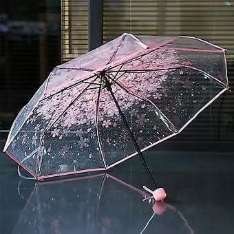 Shundor shundor transparent umbrella all restocked